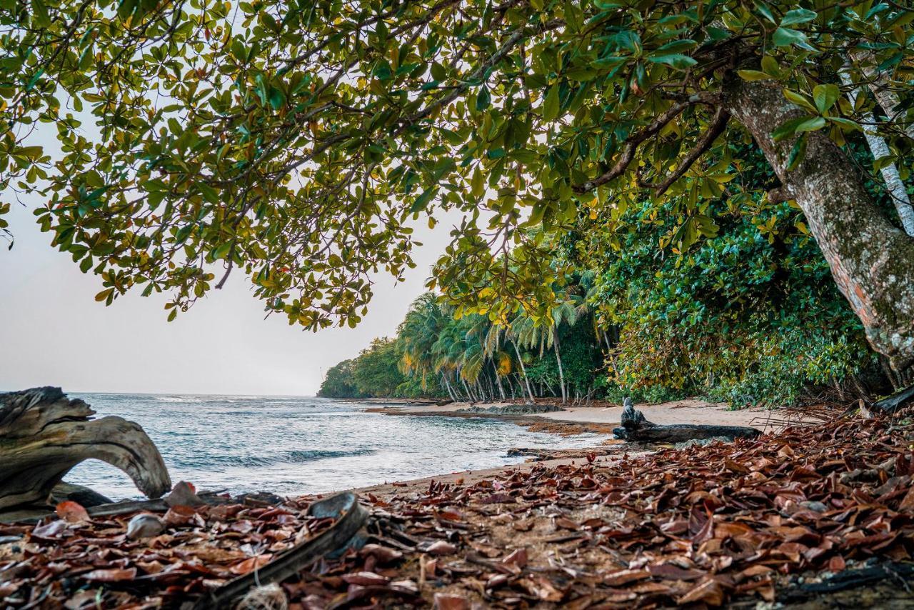 花卉简易别墅 Puerto Viejo de Talamanca 外观 照片