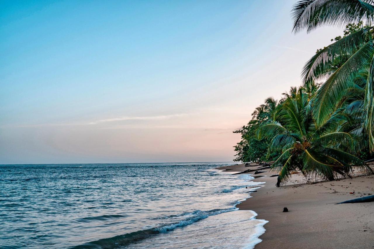 花卉简易别墅 Puerto Viejo de Talamanca 外观 照片