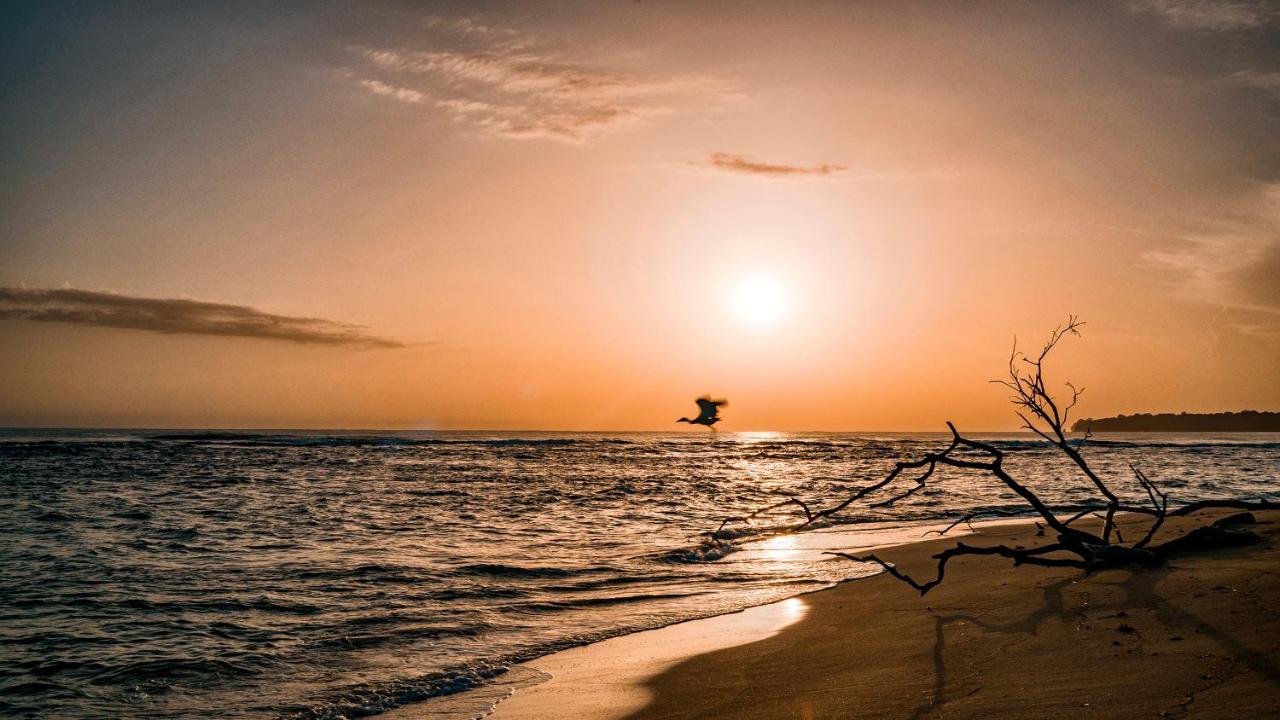 花卉简易别墅 Puerto Viejo de Talamanca 外观 照片