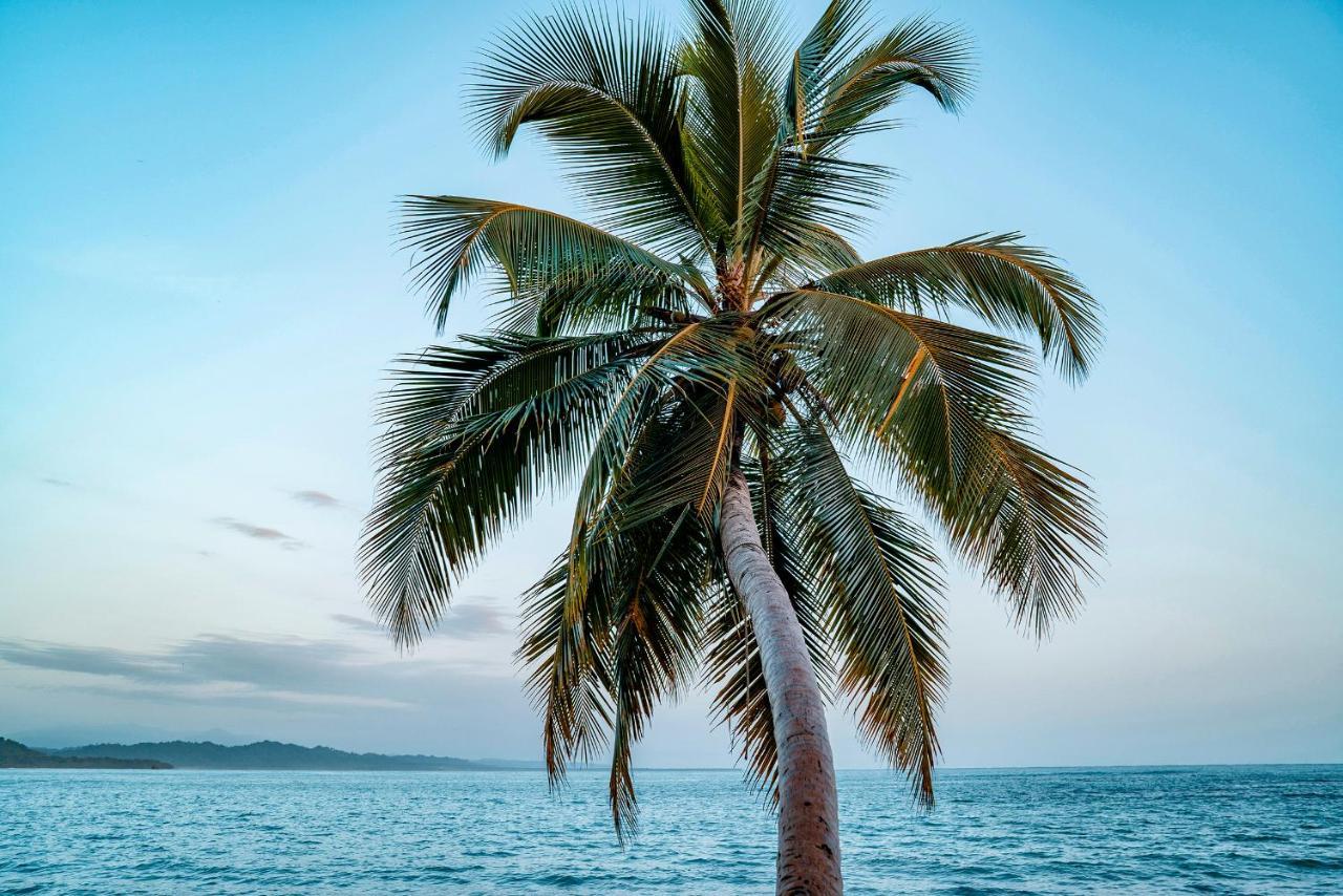 花卉简易别墅 Puerto Viejo de Talamanca 外观 照片