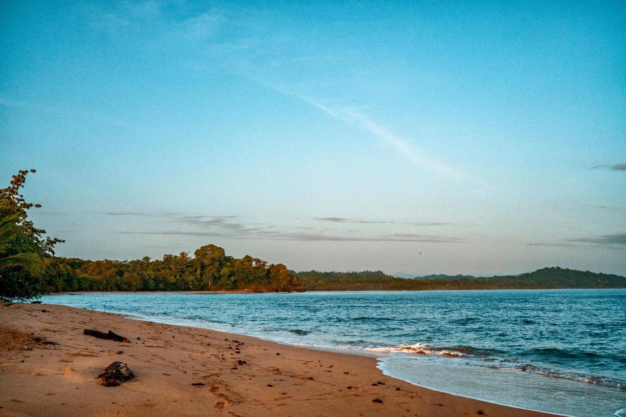 花卉简易别墅 Puerto Viejo de Talamanca 外观 照片