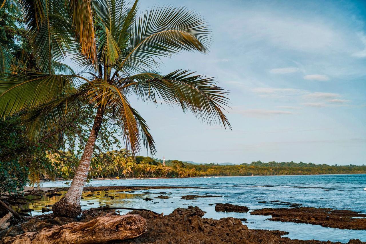 花卉简易别墅 Puerto Viejo de Talamanca 外观 照片