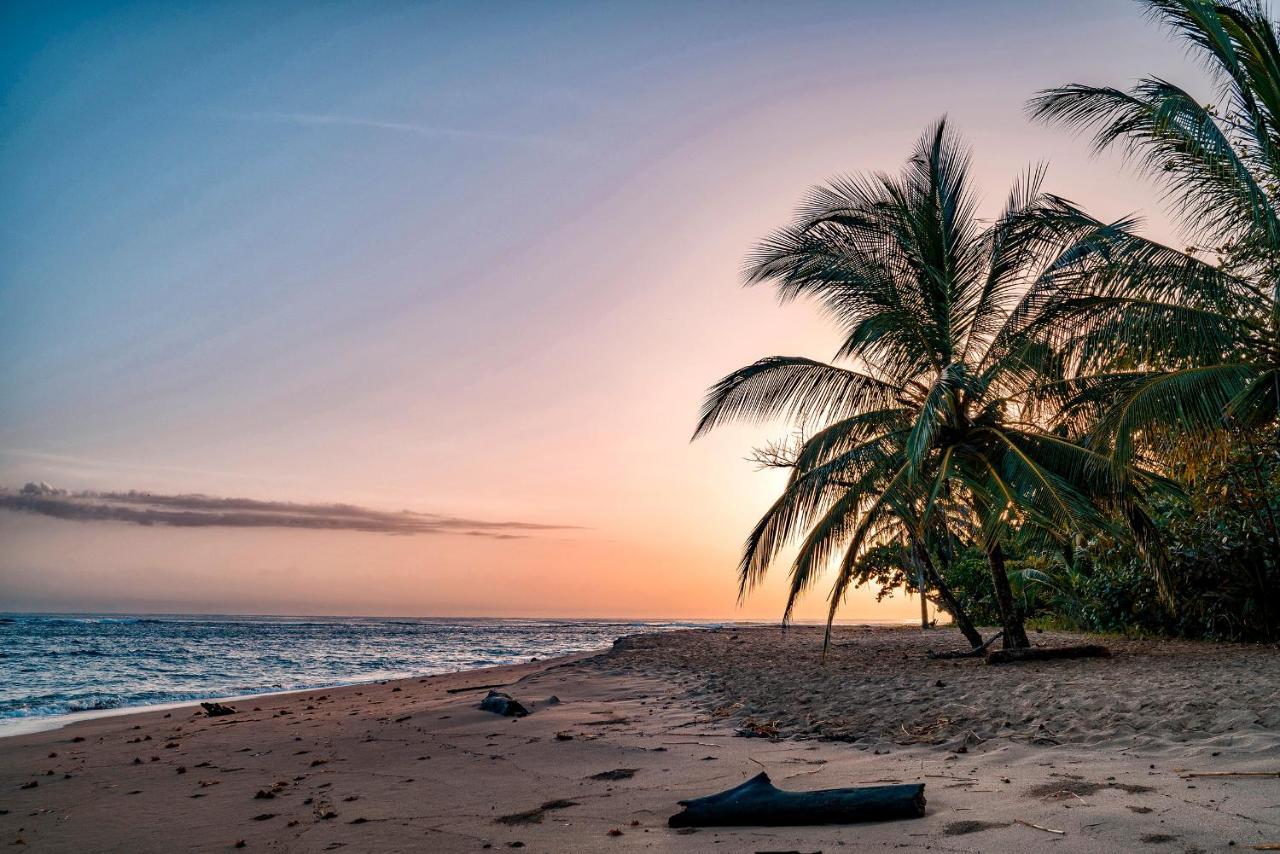 花卉简易别墅 Puerto Viejo de Talamanca 外观 照片