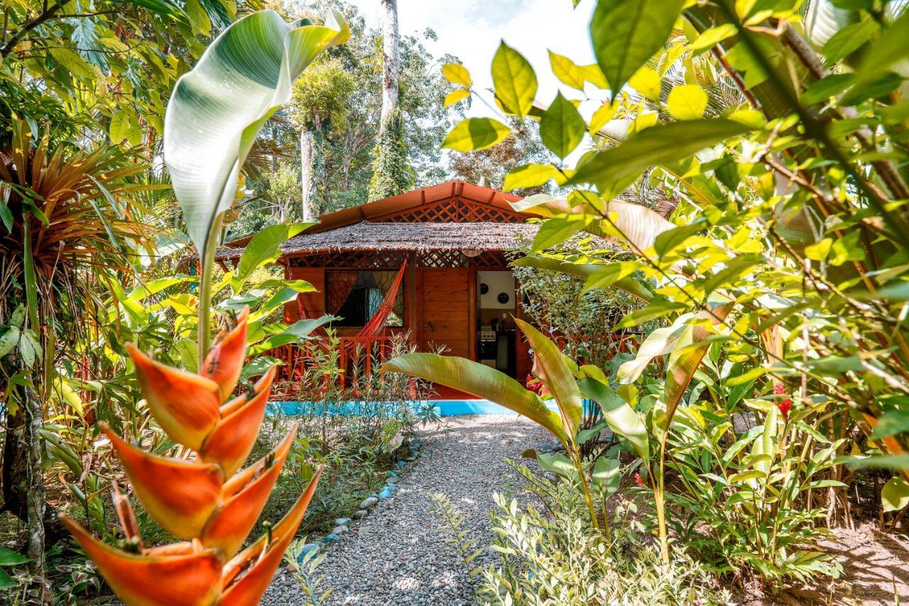 花卉简易别墅 Puerto Viejo de Talamanca 外观 照片