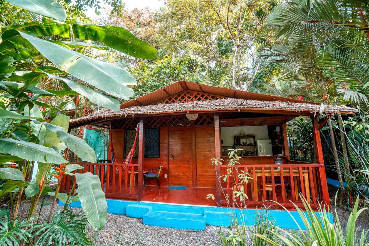 花卉简易别墅 Puerto Viejo de Talamanca 外观 照片
