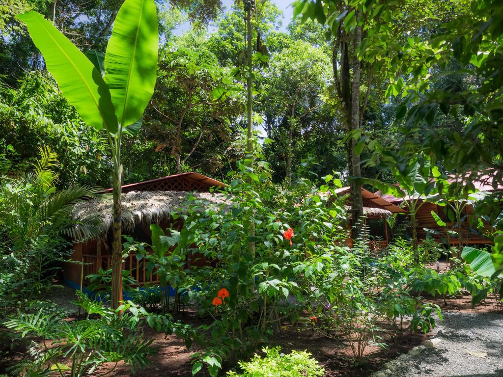 花卉简易别墅 Puerto Viejo de Talamanca 外观 照片