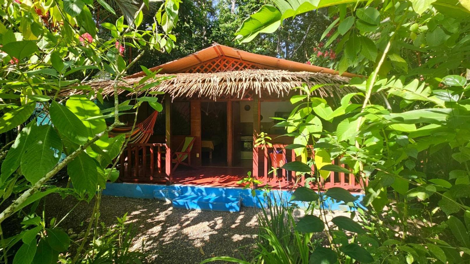 花卉简易别墅 Puerto Viejo de Talamanca 外观 照片