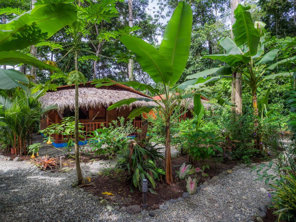花卉简易别墅 Puerto Viejo de Talamanca 客房 照片