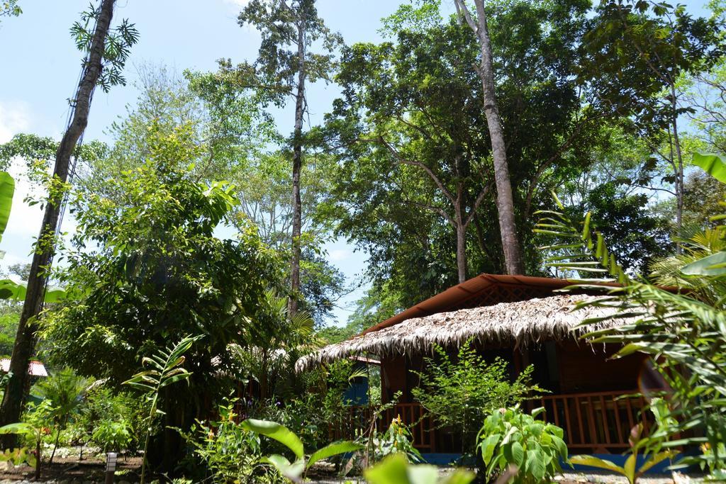 花卉简易别墅 Puerto Viejo de Talamanca 外观 照片