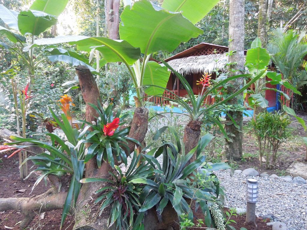 花卉简易别墅 Puerto Viejo de Talamanca 外观 照片