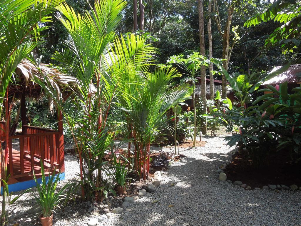 花卉简易别墅 Puerto Viejo de Talamanca 外观 照片