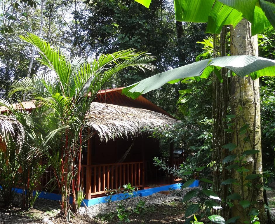 花卉简易别墅 Puerto Viejo de Talamanca 外观 照片
