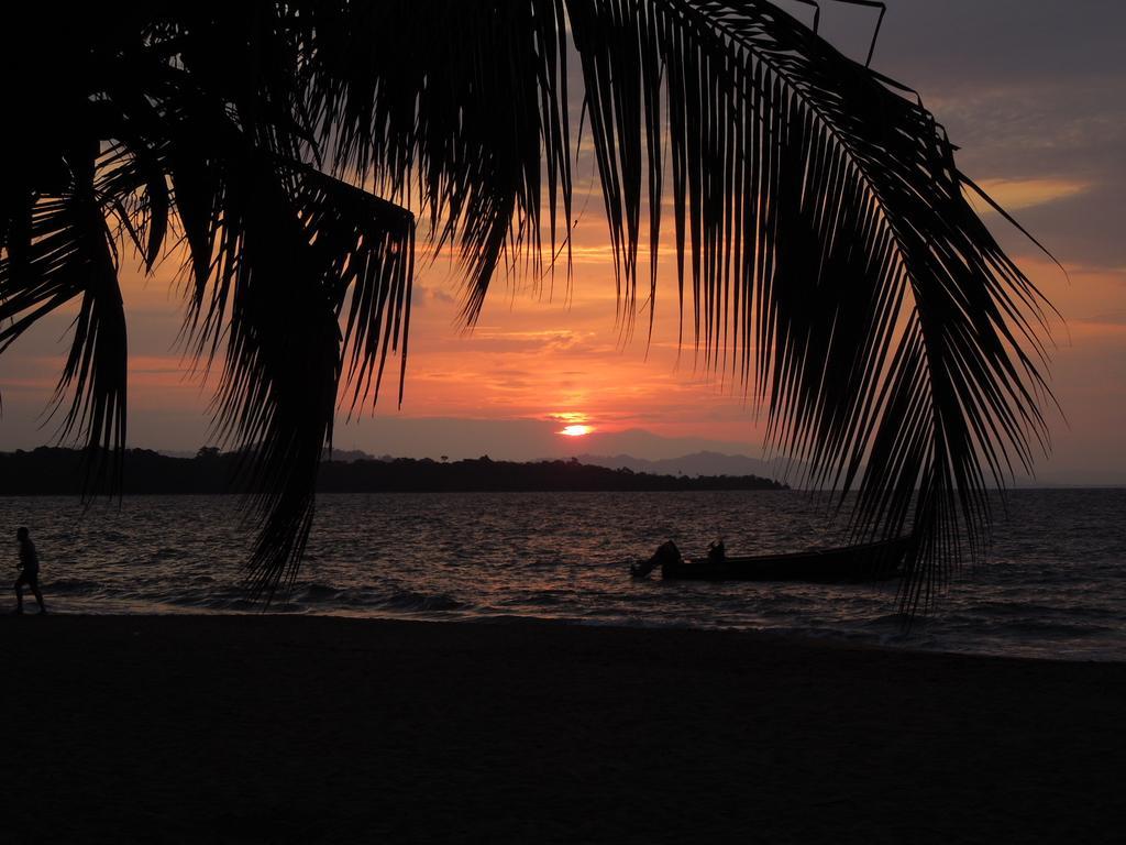 花卉简易别墅 Puerto Viejo de Talamanca 外观 照片