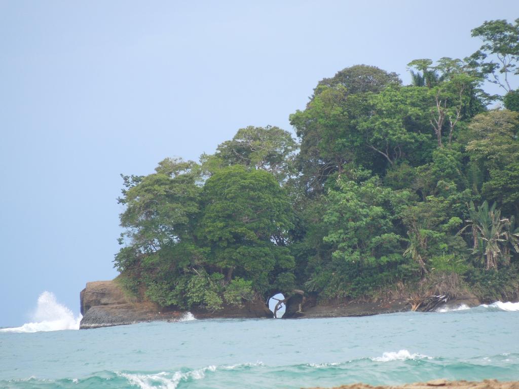 花卉简易别墅 Puerto Viejo de Talamanca 外观 照片