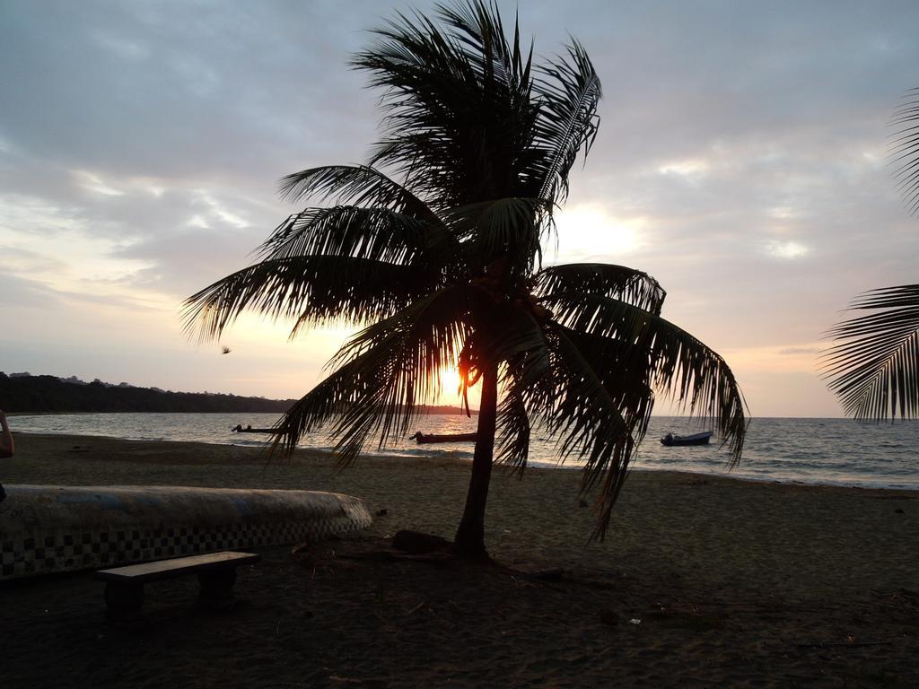 花卉简易别墅 Puerto Viejo de Talamanca 外观 照片