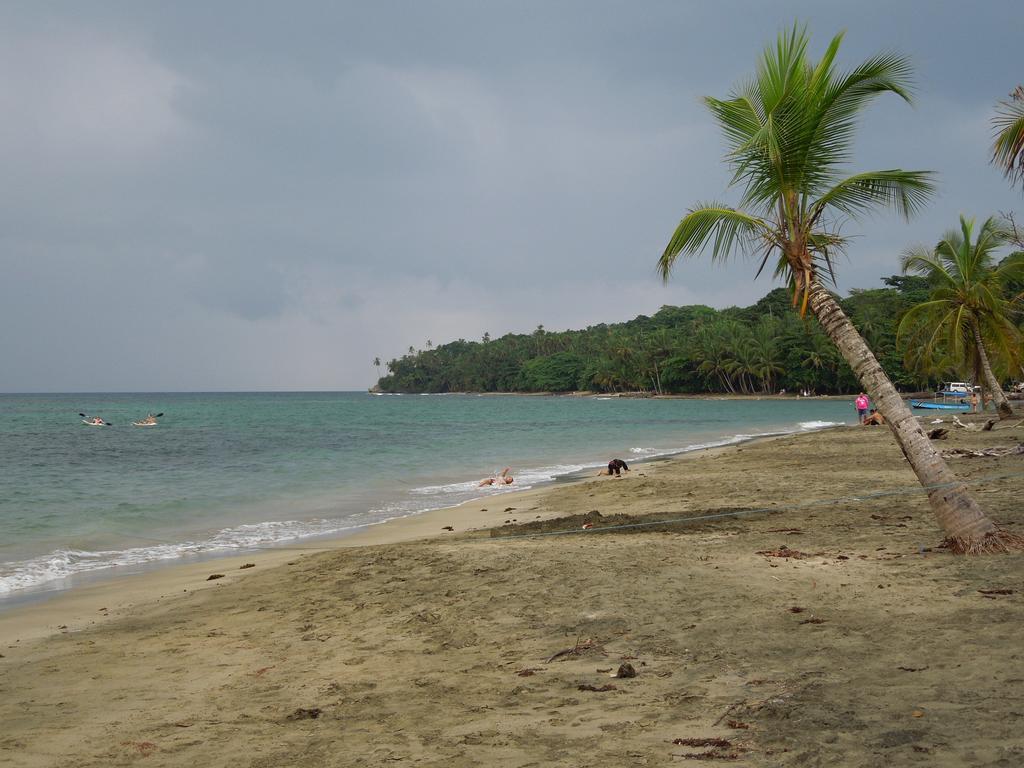 花卉简易别墅 Puerto Viejo de Talamanca 外观 照片