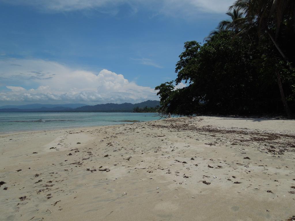 花卉简易别墅 Puerto Viejo de Talamanca 外观 照片