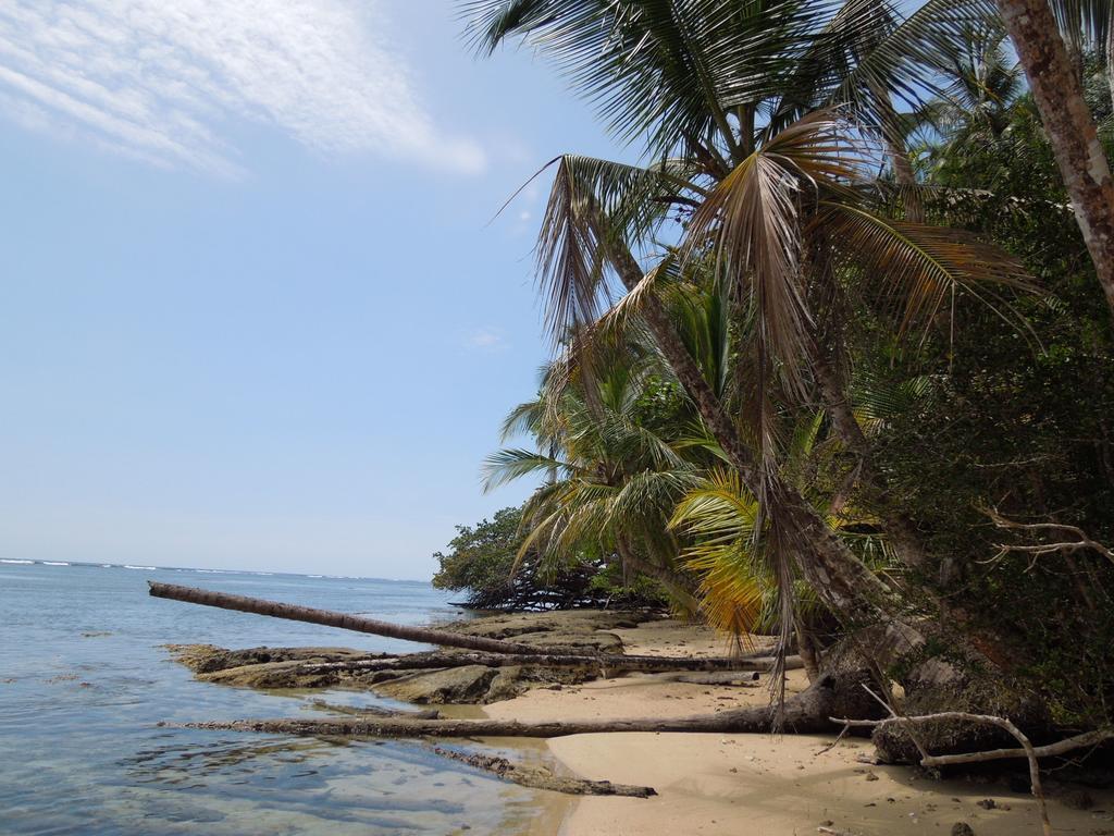 花卉简易别墅 Puerto Viejo de Talamanca 外观 照片