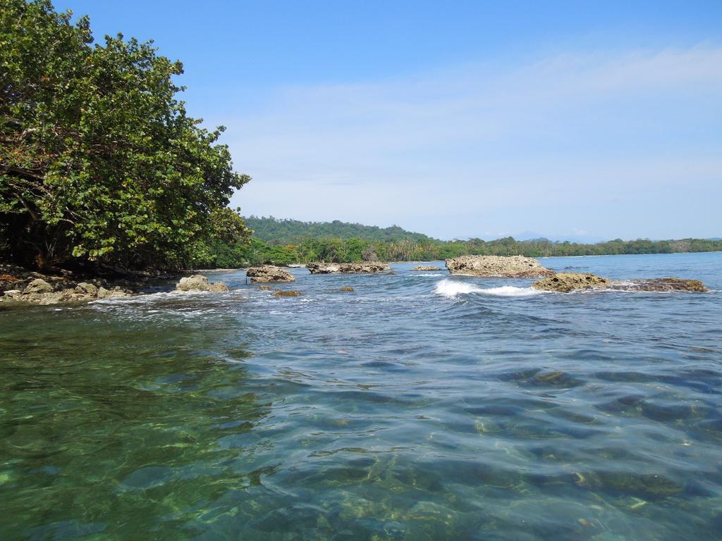 花卉简易别墅 Puerto Viejo de Talamanca 外观 照片