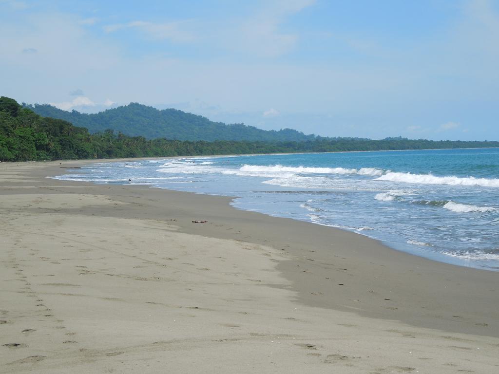 花卉简易别墅 Puerto Viejo de Talamanca 外观 照片