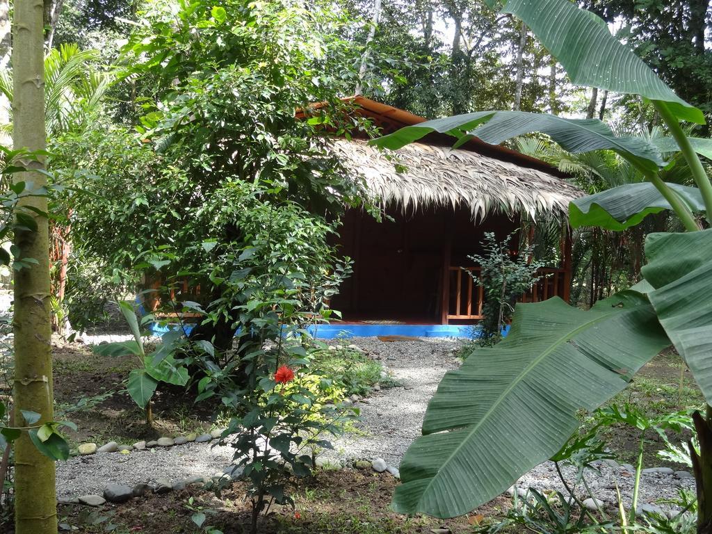 花卉简易别墅 Puerto Viejo de Talamanca 外观 照片